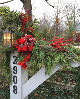 Outdoor holiday plant arrangement