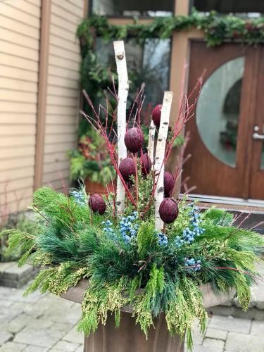 Plant and flower display