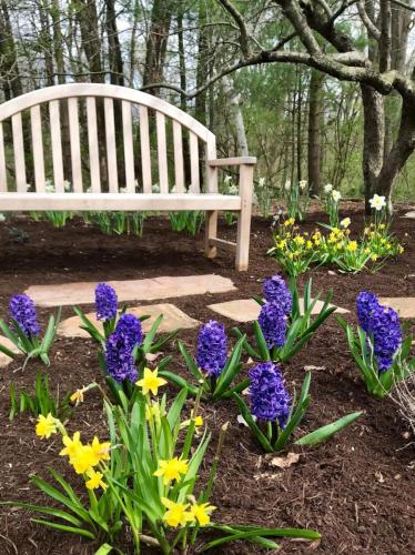 Garden area with bench and flowers