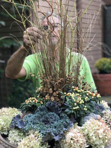 Man arranging plants