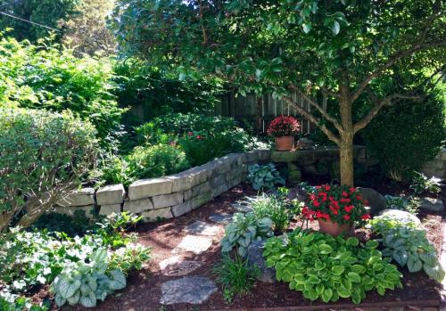 Landscaped garden area with plants trees and flowers