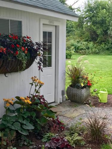 Garden outside of small building