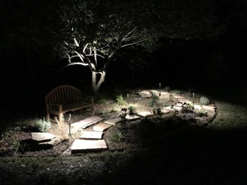 Garden at night with outdoor lighting