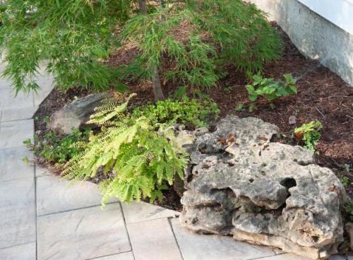 Patio stone 07-26-2-19